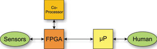 Figure 4. The co-processor approach.